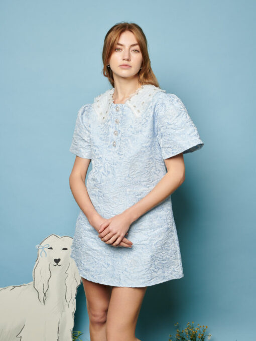 Squirrel Jacquard Mini Dress