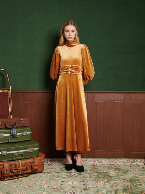 Citrine Velvet Maxi Dress - Image 4