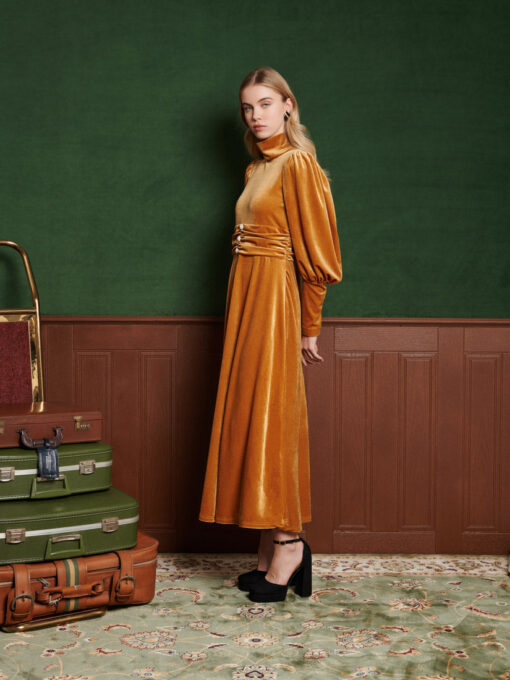 Citrine Velvet Maxi Dress - Image 2