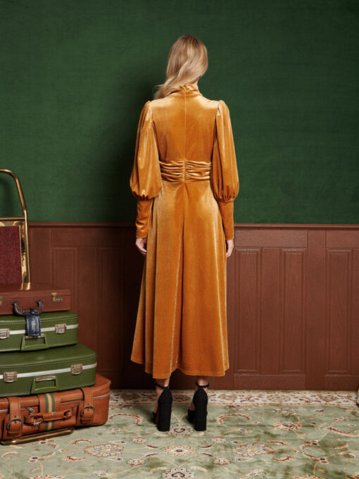 Citrine Velvet Maxi Dress - Image 3