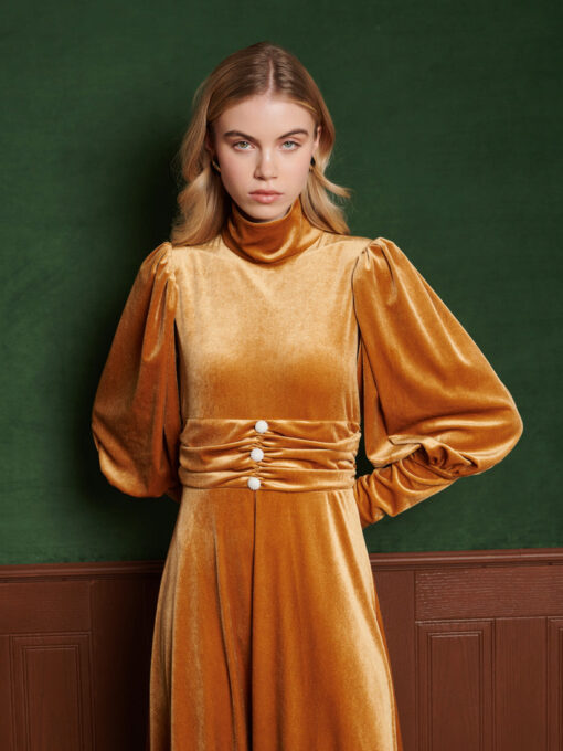 Citrine Velvet Maxi Dress - Image 5