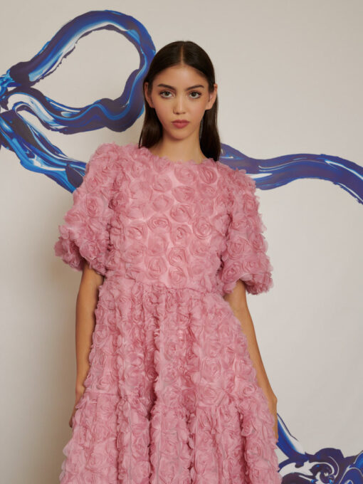 DREAM Rose Delice Tulle Midi Dress - Image 5