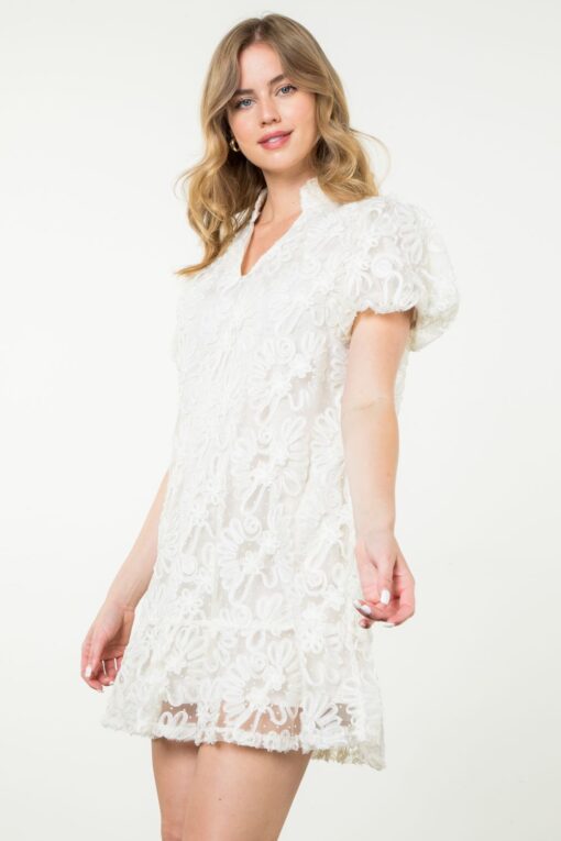 THML DRESS-DETAILED MESH PUFF SLEEVE CREAM - Image 2