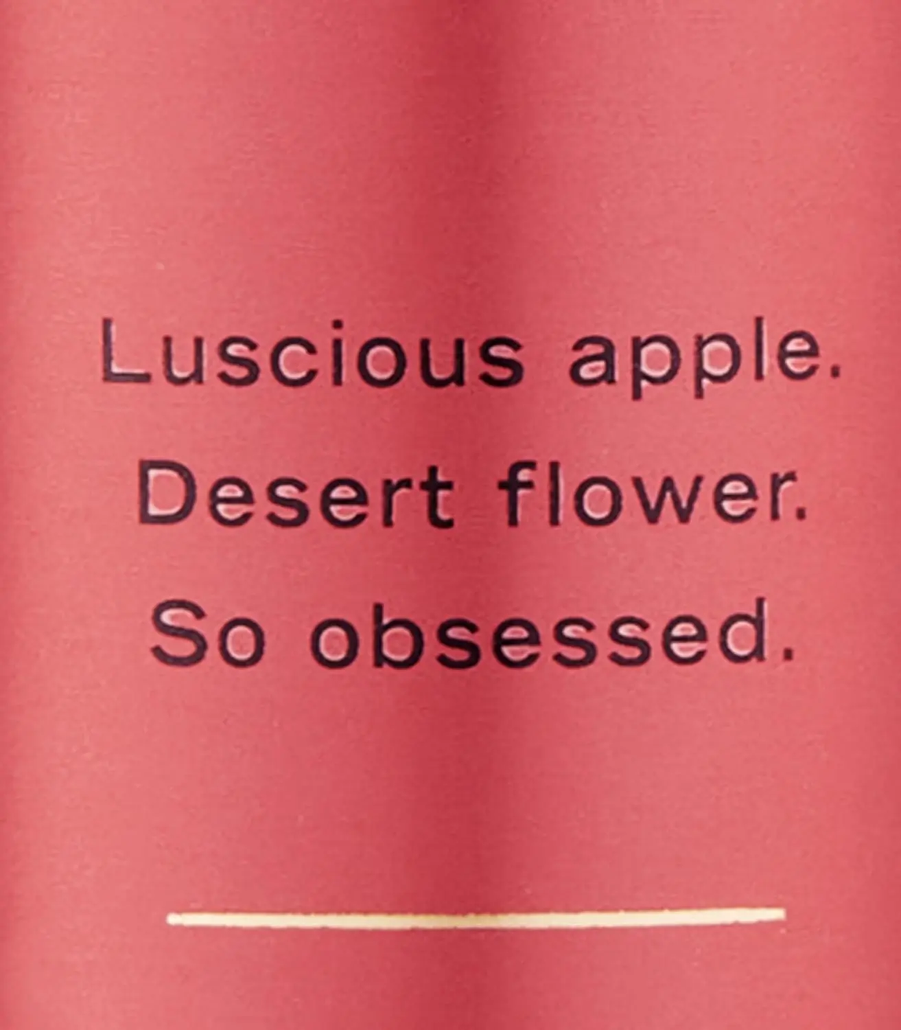 Victoria’s Secret Body Mist Temptation 250ml - Image 2