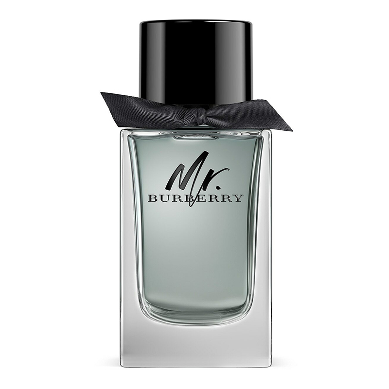 BURBERRY | Mr. Burberry
